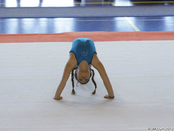 acrobates_2012_071