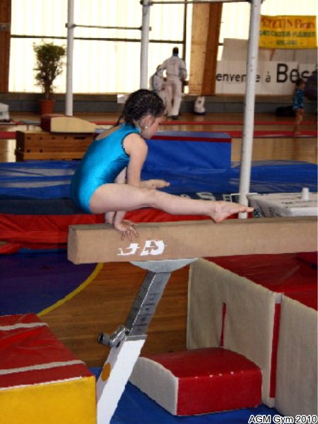 acrobates_AGM_011