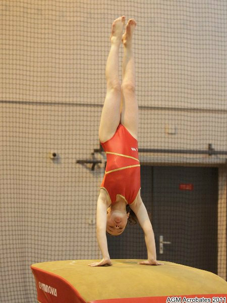 acrobates_vesoul_028