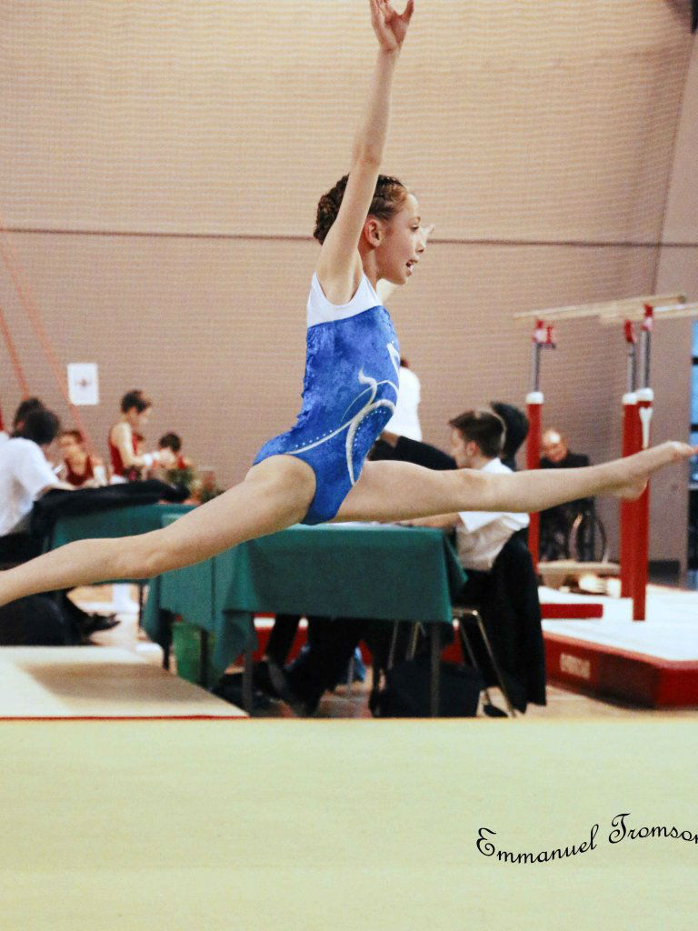 Championnat gym le 16 janvier 2016   (123)