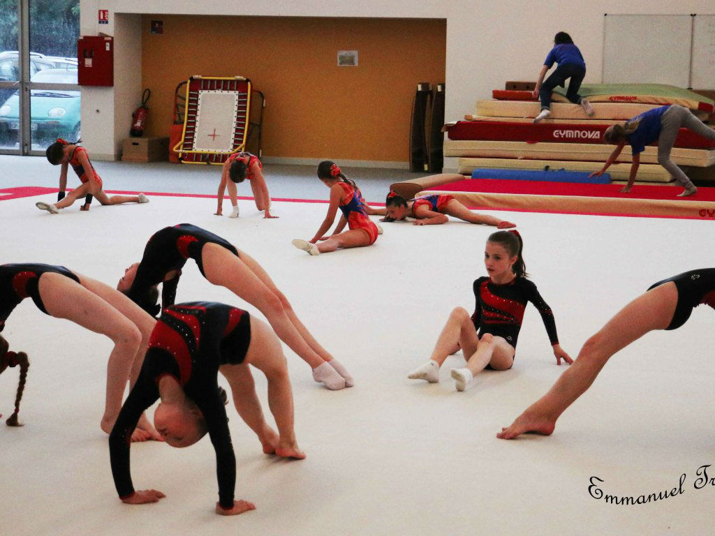 Championnat gym le 16 janvier 2016   (127)