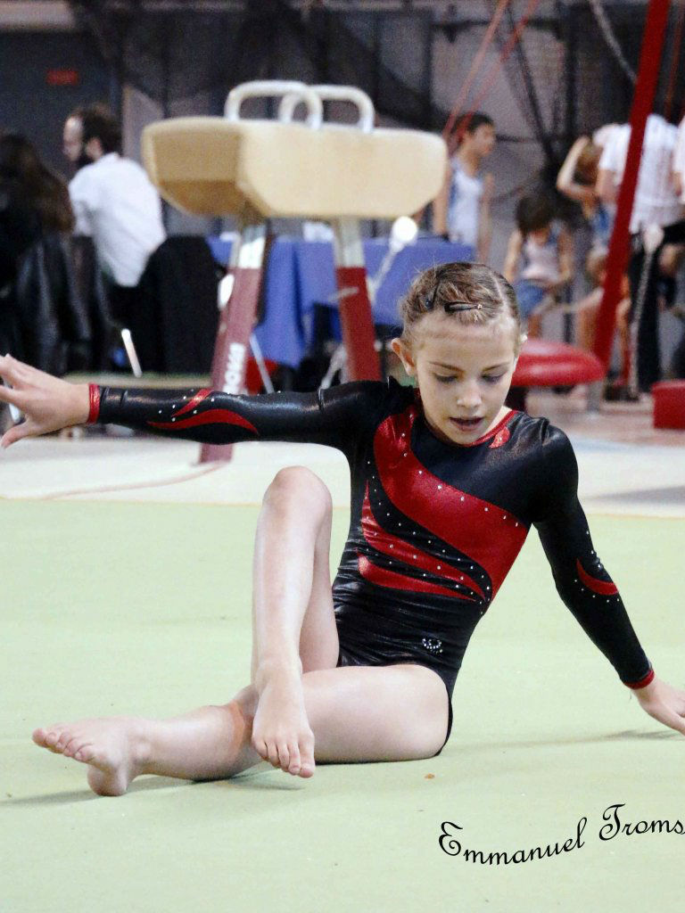 Championnat gym le 16 janvier 2016   (150)