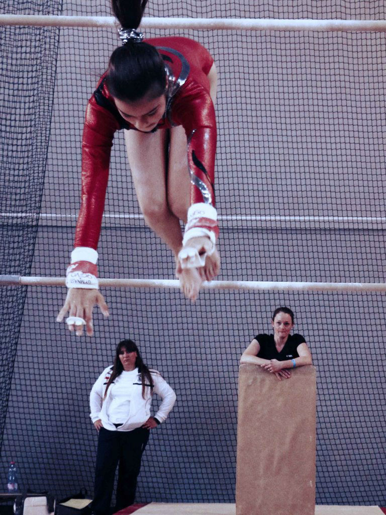 Championnat gym le 16 janvier 2016   (24)