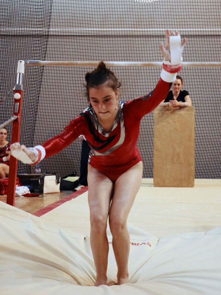 Championnat gym le 16 janvier 2016   (26)