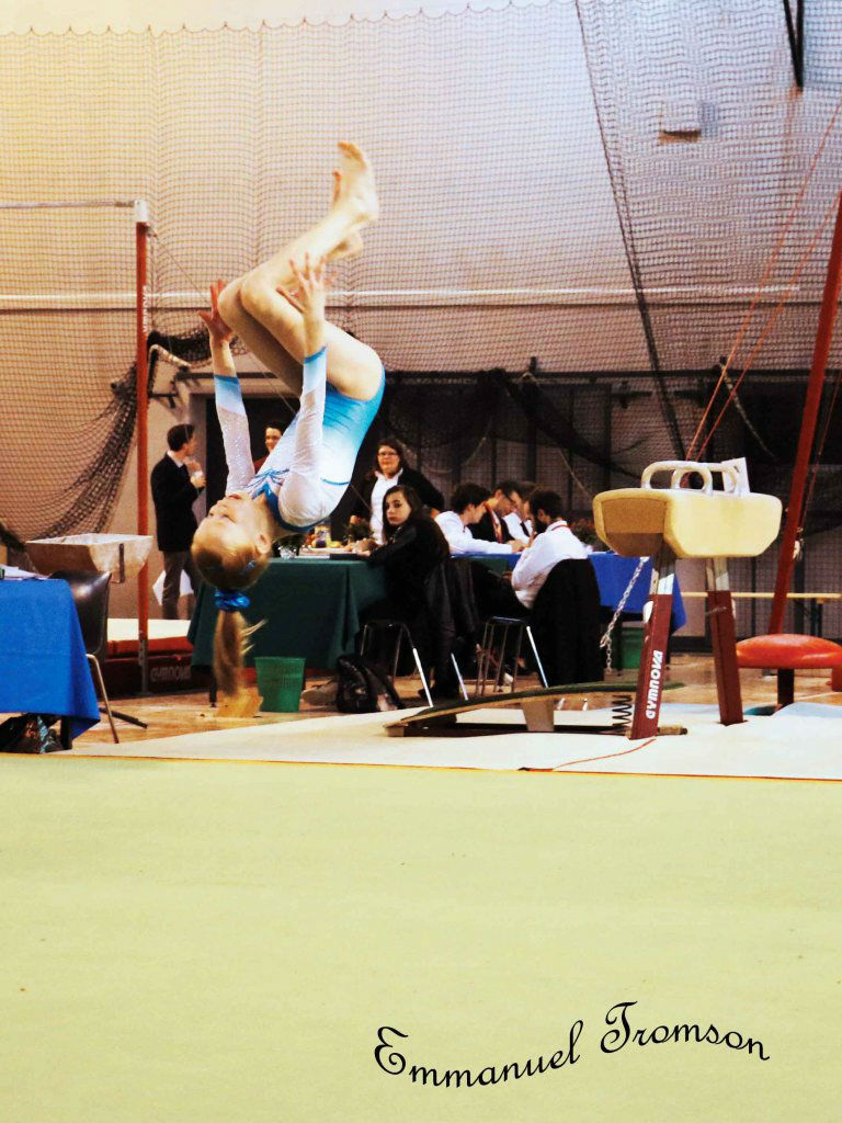 Championnat gym le 16 janvier 2016   (39)