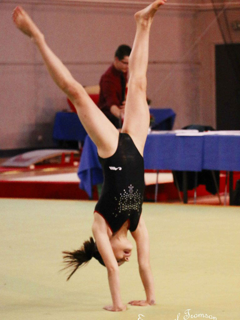 Championnat gym le 16 janvier 2016   (53)