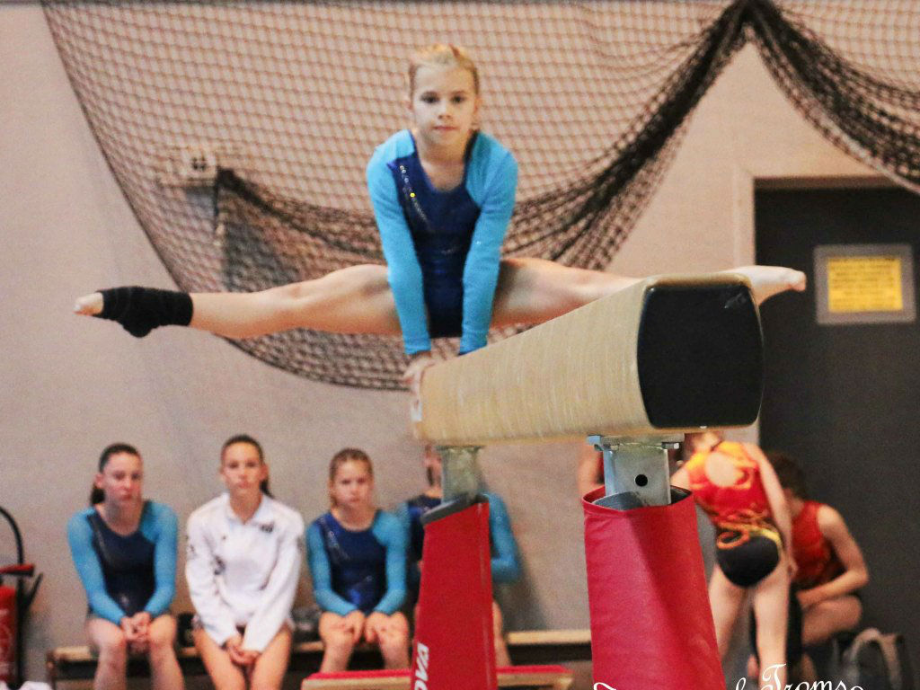 Championnat gym le 16 janvier 2016   (70)