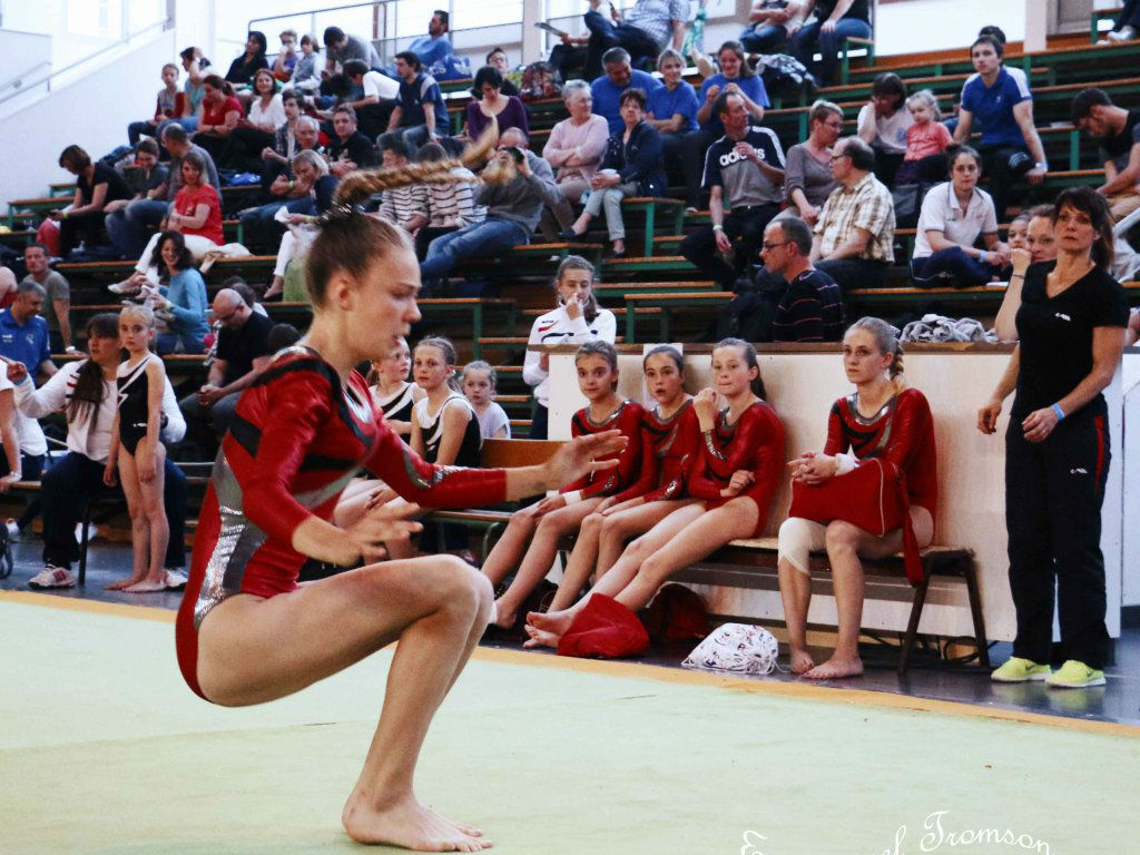 Championnat gym le 16 janvier 2016   (86)