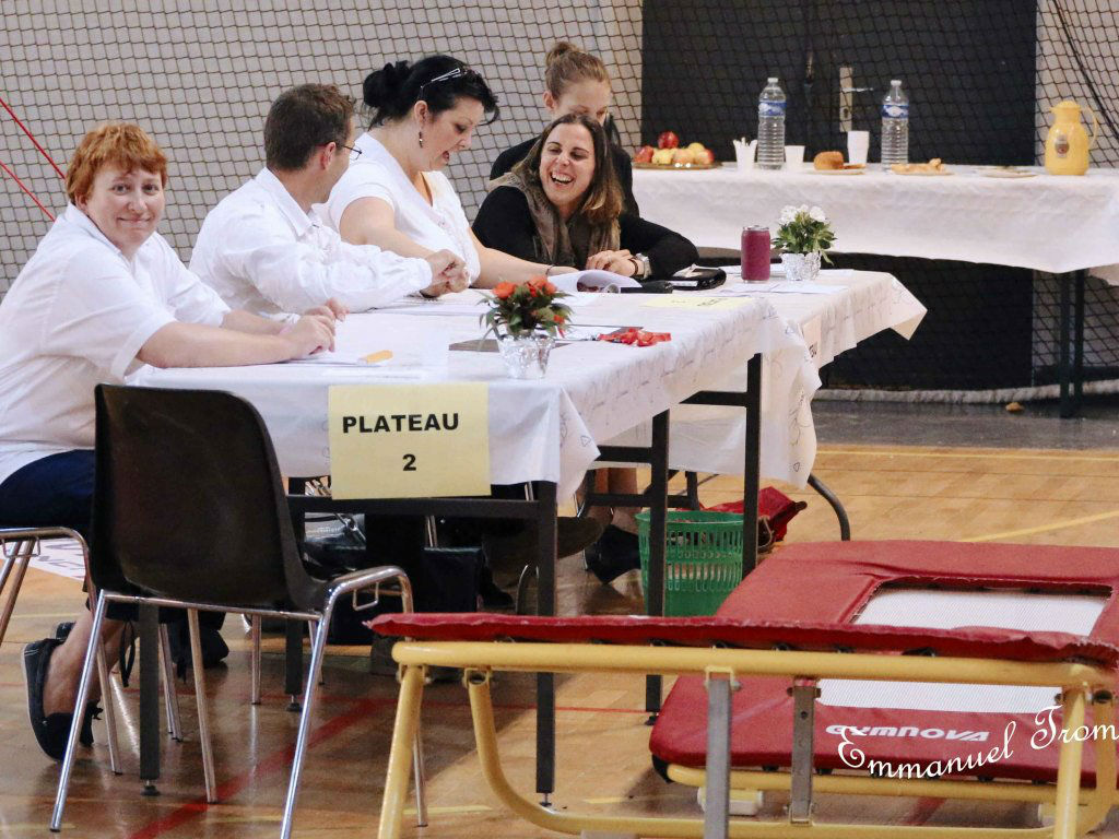 Championnat gym le 16 janvier 2016   (9)