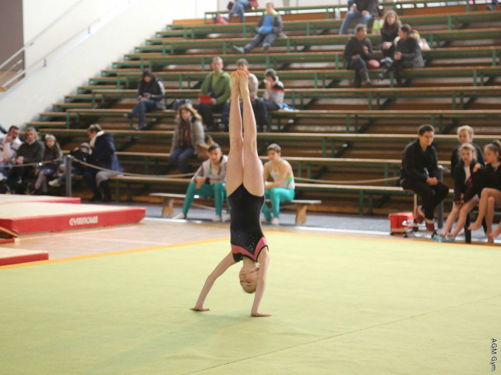Indiv_70_17_223