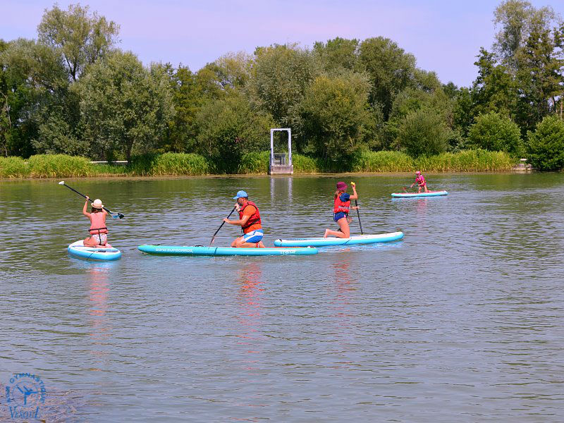 Paddle_069