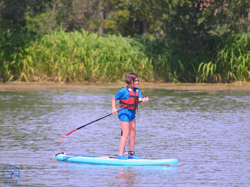 Paddle_106