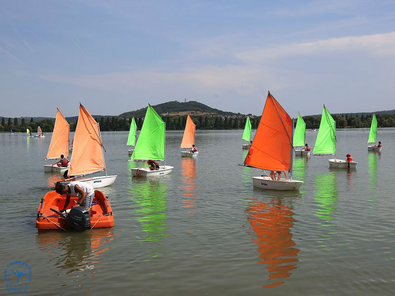 Paddle_110